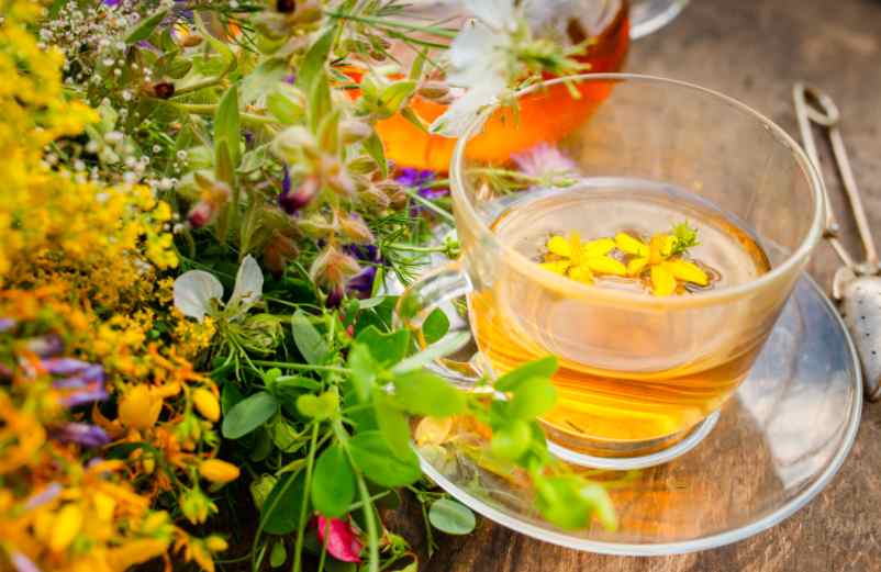 La phytothérapie : les plantes favorables à l’endormissement